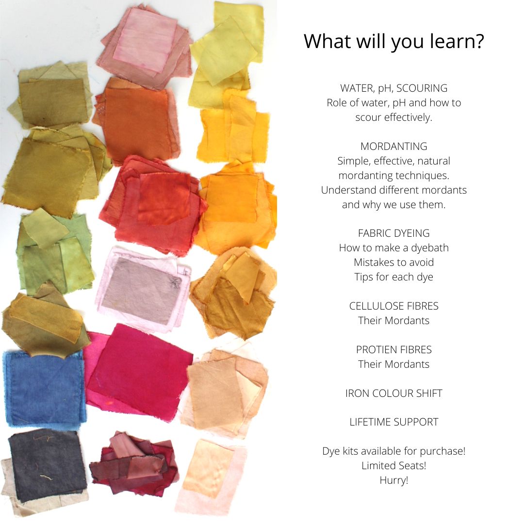 NATURAL DYE WORKSHOP! - LIVE