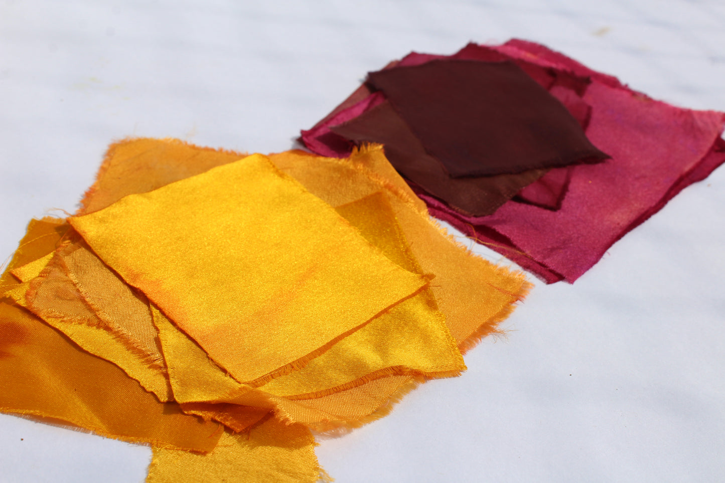 NATURAL DYE WORKSHOP! - LIVE